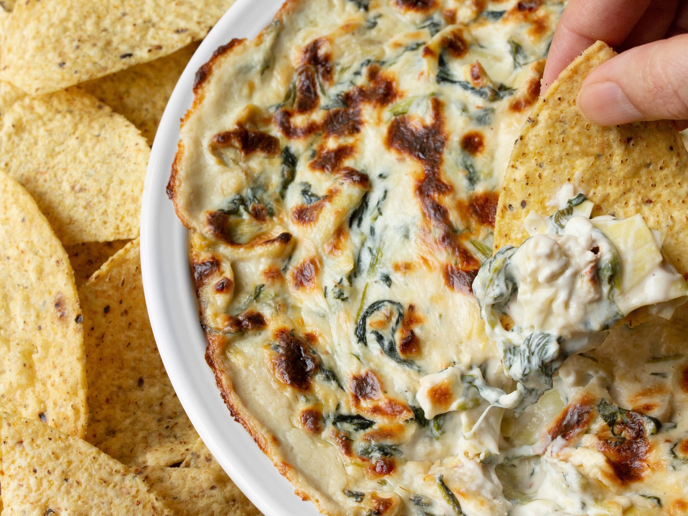 Hot, bubbling, dangerously addictive. Cream cheese, spinach, artichoke hearts, parmesan, and gruyère baked until golden. Every party I bring this to, the dish comes home empty.